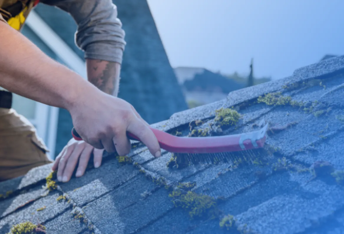 Roof Cleaning